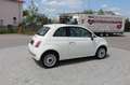Fiat 500 74 kw Sh.gepfl. Insp. neu Blanc - thumbnail 11