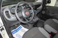 Fiat Panda Panda  4x4 Blanc - thumbnail 7