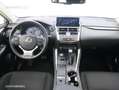 Lexus NX 300 300h Sport Edition 2WD - thumbnail 8