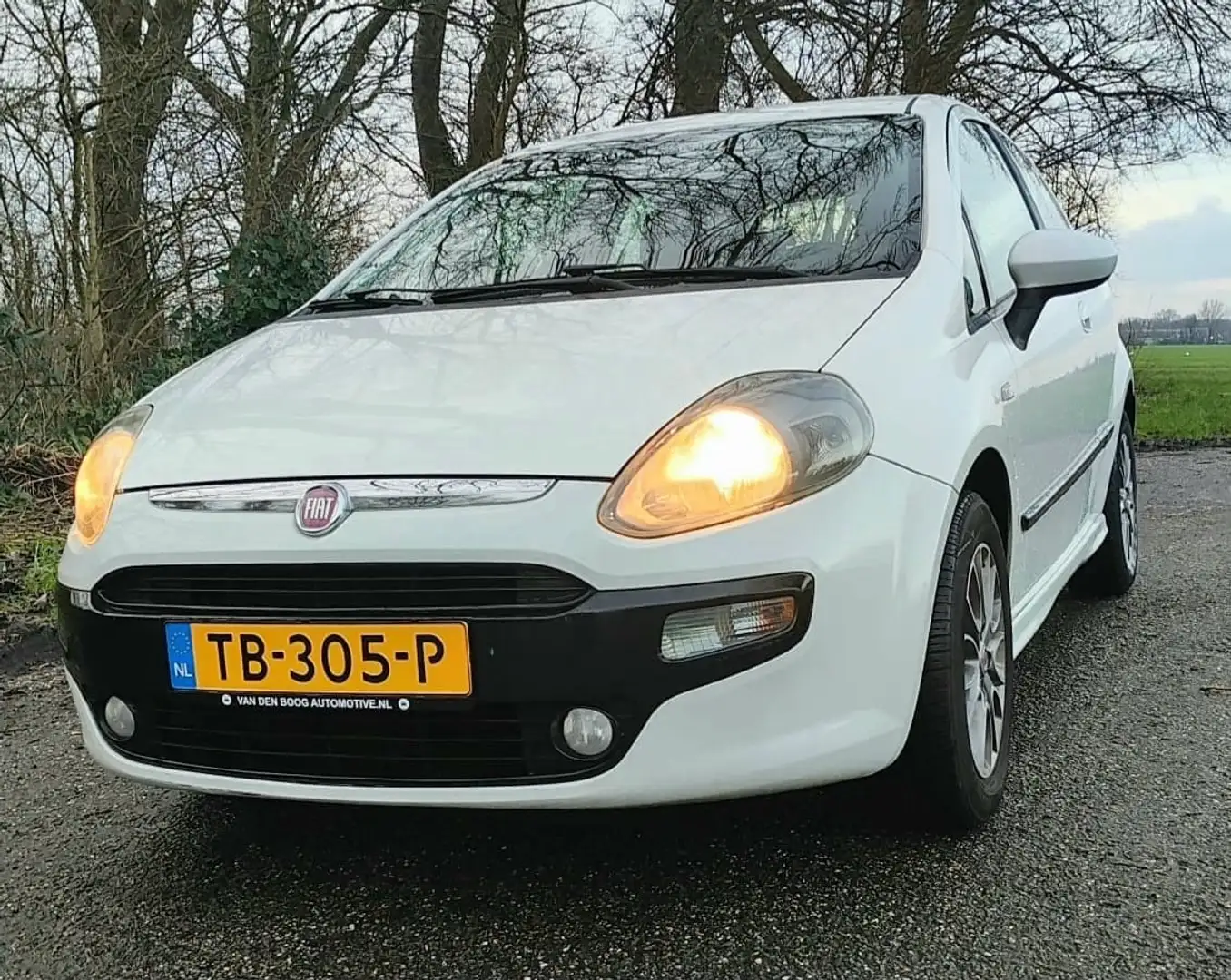 Fiat Punto Punto 1.4 Business Biały - 1