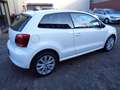 Volkswagen Polo 1.2 Match, Klima, PDC, GRA, Schiebedach Weiß - thumbnail 3