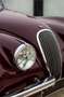 Jaguar XK 120 Burdeos - thumbnail 14