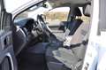 Ford Ranger Ranger Doppelkabine XL 4x4 2,0 EcoBlue XL AHK Weiß - thumbnail 8