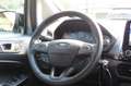 Ford EcoSport 1.0 EcoBoost Active l Driver Assistance Pack l Win Grijs - thumbnail 22