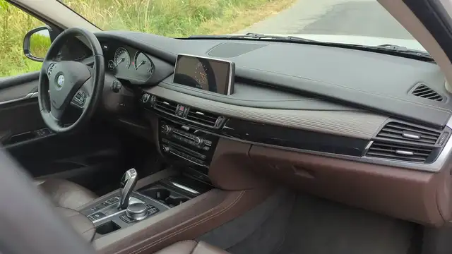 BMW X5 view 10