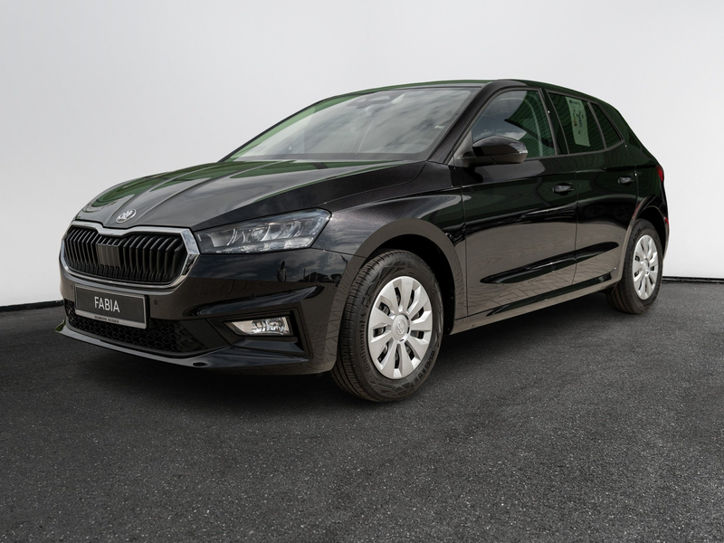 Skoda Fabia Selection 1.0 TSI Kam. Navi KeyLess KlimaA — photo 2