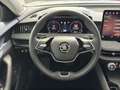 Skoda Superb Selection TDI DSG Silber - thumbnail 8