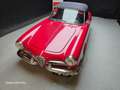 Alfa Romeo Giulietta SPIDER PASSO CORTO certif. Asi CRS Rouge - thumbnail 7