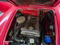 Alfa Romeo Giulietta SPIDER PASSO CORTO certif. Asi CRS Rouge - thumbnail 24