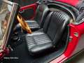 Alfa Romeo Giulietta SPIDER PASSO CORTO certif. Asi CRS Rouge - thumbnail 18