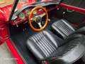 Alfa Romeo Giulietta SPIDER PASSO CORTO certif. Asi CRS Rouge - thumbnail 4