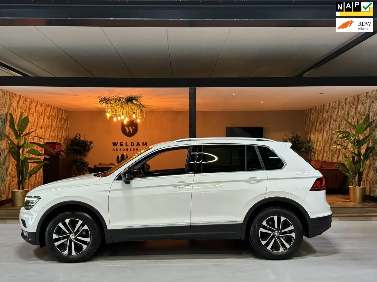 Volkswagen Tiguan 1.5 TSI ACT IQ DRIVE DSG Garantie Camera CarPlay B Wit - 1