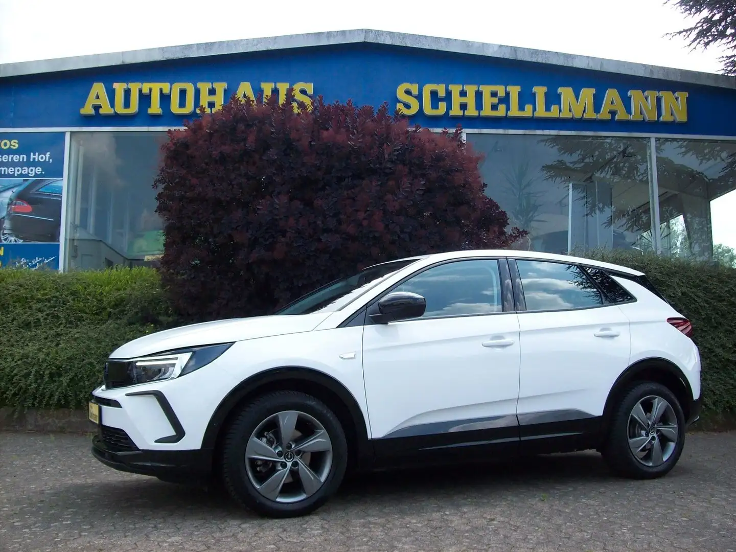 Opel Grandland X Grandland 1.2T GS 360Kam SHZ LHZ Navi Pro AHK Weiß - 1
