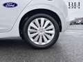 Nissan Micra 0.9 IG-T 90ch Business Edition Blanc - thumbnail 13