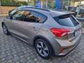 Ford Focus 1.0 EcoBoost 125 CV 5p. Active Beige - thumbnail 15