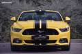 Ford Mustang 5.0 421ch BVA CABRIOLET GT phase 1 Amarillo - thumbnail 8