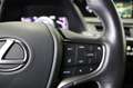 Lexus UX 250h Achteruitrijcamera/ Navigatie Grijs - thumbnail 24