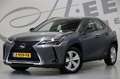 Lexus UX 250h Achteruitrijcamera/ Navigatie Grijs - thumbnail 1