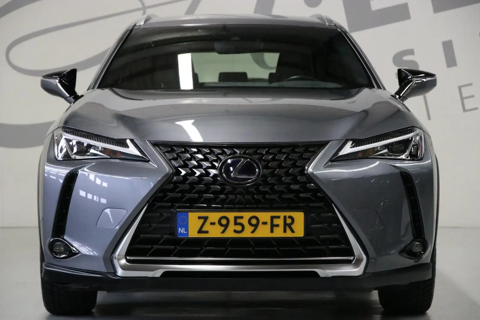 Lexus UX 250h Achteruitrijcamera/ Navigatie Grijs - 2