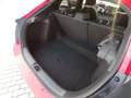Honda Civic Civic 5p 1.5 t Sport + my20 Rosso - thumbnail 12