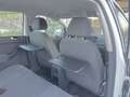Volkswagen Golf Plus - 2,0 TDI - AUTOMATIK GETRIEBE DSG - NAVI - SIT... Blanc - thumbnail 32