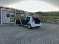 Volkswagen Golf Plus - 2,0 TDI - AUTOMATIK GETRIEBE DSG - NAVI - SIT... Blanc - thumbnail 10