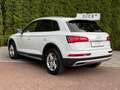 Audi Q5 40 TDI Quatt Design XEN+MMI+PANO+360°+ACC+SHZ Weiß - thumbnail 5