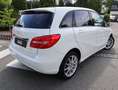 Mercedes-Benz B 180 B 180 CDI (BM 246) BlueEfficiency AHZV ! Alb - thumbnail 6