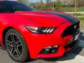 Ford Mustang 2.3 eco boost NO SUPERBOLLO Rosso - thumbnail 13