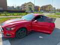 Ford Mustang 2.3 eco boost NO SUPERBOLLO Rosso - thumbnail 12