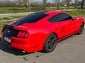 Ford Mustang 2.3 eco boost NO SUPERBOLLO Rosso - thumbnail 15