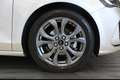 Ford Focus 1.5 EcoBlue 115 CV automatico 5p. ST-Line Gris - thumbnail 3