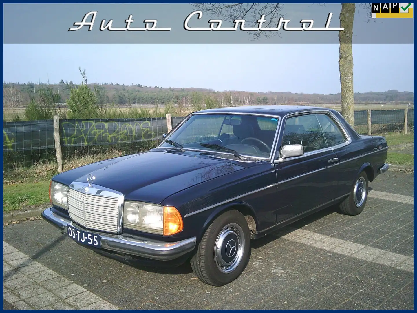 Mercedes-Benz C 280 200-280 (W123) NL-auto NAP 1977 Blau - 1