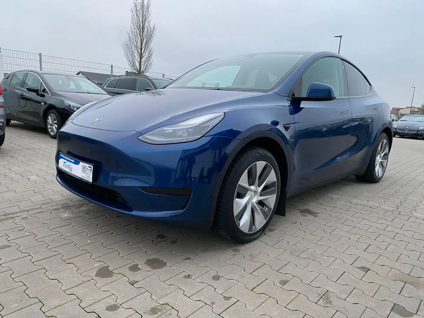 Tesla Model Y Basis RWD Blau - 1