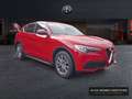 Alfa Romeo Stelvio Super 2.0 Turbo 16V AT8-Q4 Rood - thumbnail 3