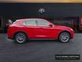 Alfa Romeo Stelvio Super 2.0 Turbo 16V AT8-Q4 Rood - thumbnail 4