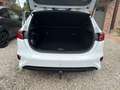 Kia Ceed / cee'd CeeD 1.6 CRDi More ISG Alb - thumbnail 13