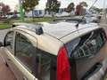 Fiat Panda 1.2 Edizione automaat zeer nette panda Beige - thumbnail 39