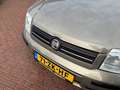 Fiat Panda 1.2 Edizione automaat zeer nette panda Beige - thumbnail 31