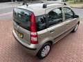 Fiat Panda 1.2 Edizione automaat zeer nette panda Beige - thumbnail 4