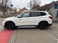 BMW X1 xDrive 20 d Sport Line/Panoramadach Weiß - thumbnail 8