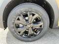 Dacia Sandero Stepway Extême 1.0 TCe 90cv CVT + Pack Navigation  Beige - thumbnail 20