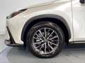 Lexus NX 350h Executive 2WD - thumbnail 16