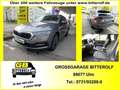 Skoda Octavia Combi 4x4 2.0TDI DSG Navi/Sthzg/4SHZ/ACC Grau - thumbnail 1