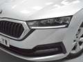 Skoda Octavia 2.0TDI Ambition 85kW Gris - thumbnail 4