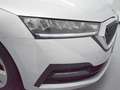 Skoda Octavia 2.0TDI Ambition 85kW Gris - thumbnail 39