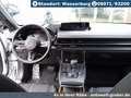 Mazda MX-30 e-SKYACTIV R-EV MAKOTO+UE+PRE-P+Glasschiedach - thumbnail 7