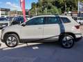 Skoda Karoq Karoq 2022 2.0 tdi evo Executive 115cv dsg Grigio - thumbnail 4
