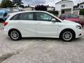 Mercedes-Benz B 180 B -Klasse B 180* RÜCKFAHRKAMERA*EURO-5* Blanco - thumbnail 4