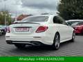 Mercedes-Benz E 350 d AMG-LINE 360°|ACC|SCHIEBEDACH|LED Weiß - thumbnail 6